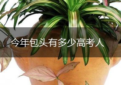 今年包头有多少高考人