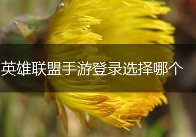 英雄联盟手游登录选择哪个