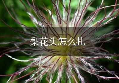 梨花头怎么扎