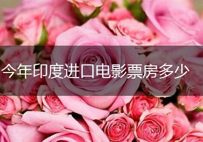 今年印度进口电影票房多少