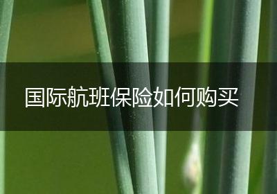 国际航班保险如何购买