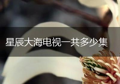 星辰大海电视一共多少集