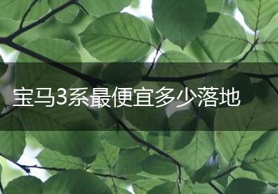 宝马3系最便宜多少落地