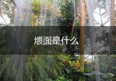 煨面是什么