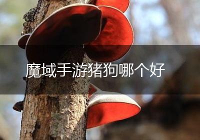 魔域手游猪狗哪个好