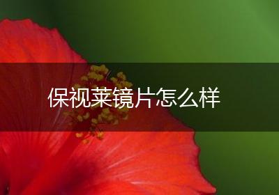 保视莱镜片怎么样