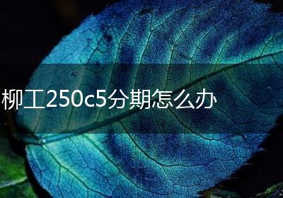 柳工250c5分期怎么办