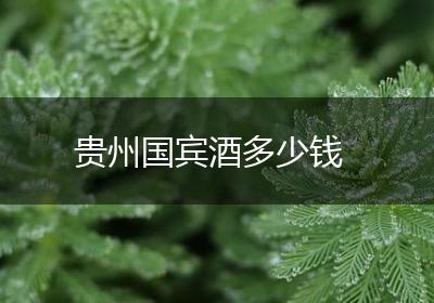 贵州国宾酒多少钱