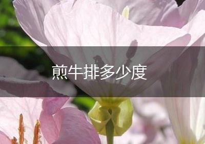 煎牛排多少度