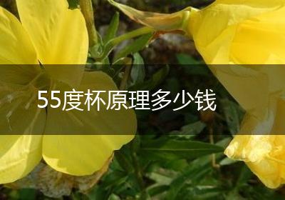 55度杯原理多少钱