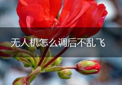 无人机怎么调后不乱飞