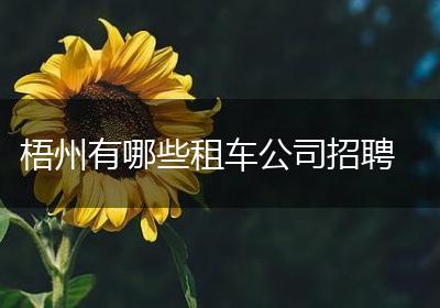 梧州有哪些租车公司招聘