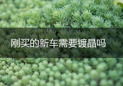 刚买的新车需要镀晶吗