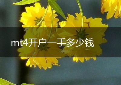 mt4开户一手多少钱