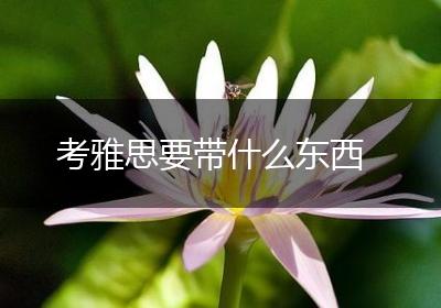 考雅思要带什么东西