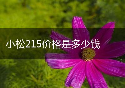 小松215价格是多少钱