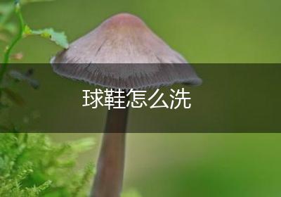 球鞋怎么洗