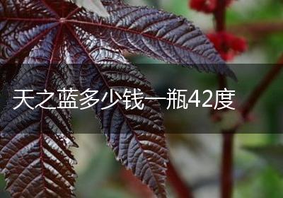 天之蓝多少钱一瓶42度