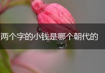 两个字的小钱是哪个朝代的
