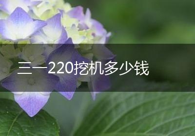 三一220挖机多少钱
