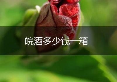 皖酒多少钱一箱