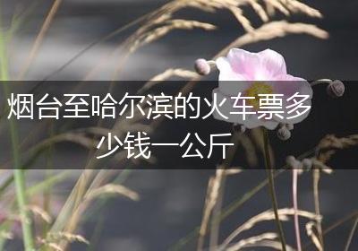 烟台至哈尔滨的火车票多少钱一公斤
