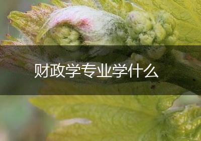 财政学专业学什么