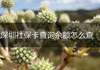 深圳社保卡查询余额怎么查
