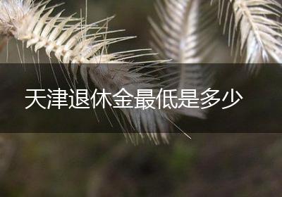 天津退休金最低是多少