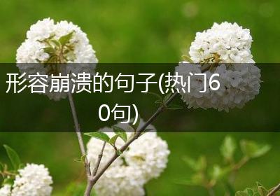 形容崩溃的句子(热门60句)