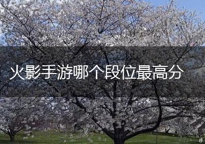 火影手游哪个段位最高分