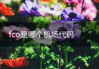 fco是哪个机场代码