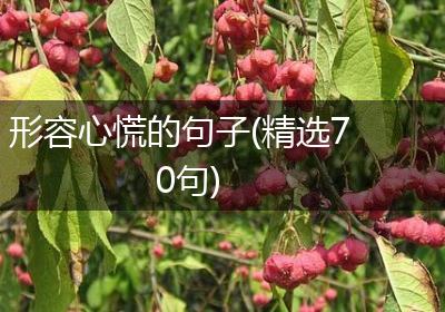 形容心慌的句子(精选70句)