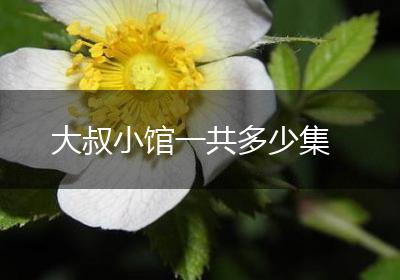 大叔小馆一共多少集