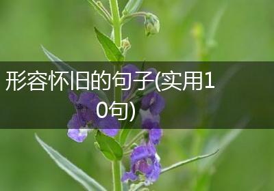 形容怀旧的句子(实用10句)