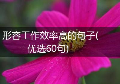 形容工作效率高的句子(优选60句)