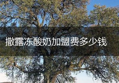 撒露冻酸奶加盟费多少钱