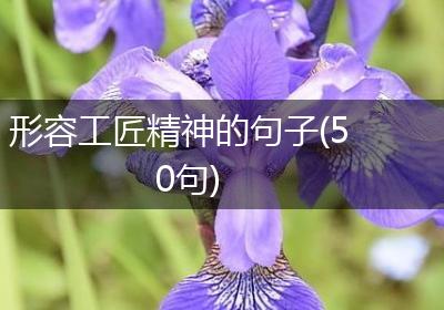 形容工匠精神的句子(50句)