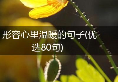形容心里温暖的句子(优选80句)