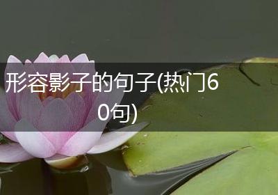形容影子的句子(热门60句)