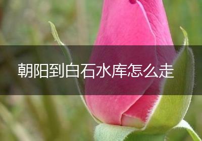 朝阳到白石水库怎么走