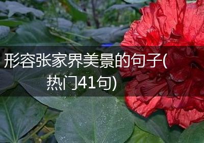 形容张家界美景的句子(热门41句)