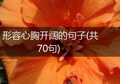 形容心胸开阔的句子(共70句)