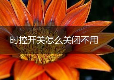 时控开关怎么关闭不用
