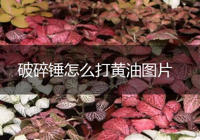 破碎锤怎么打黄油图片