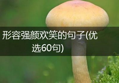形容强颜欢笑的句子(优选60句)