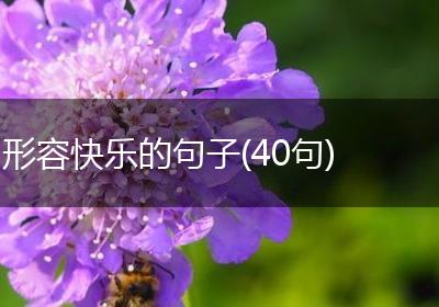 形容快乐的句子(40句)