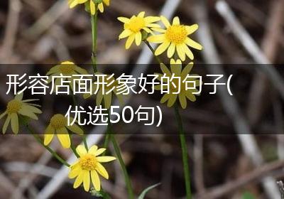 形容店面形象好的句子(优选50句)