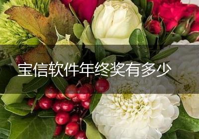 宝信软件年终奖有多少
