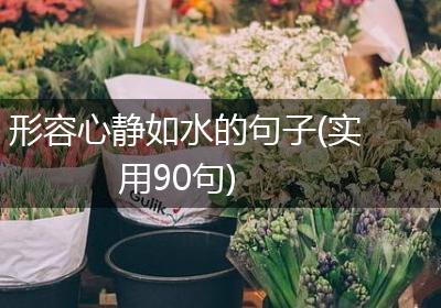 形容心静如水的句子(实用90句)